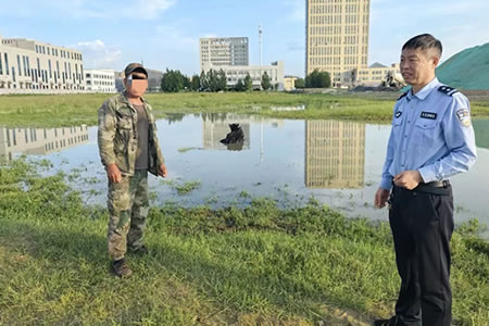 老牛“迷失”沼澤地，肇東公安上演為�！皩ぶ鳌庇�